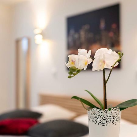 Citycosy Strasbourg - Studio Hirtz Orangerie المظهر الخارجي الصورة