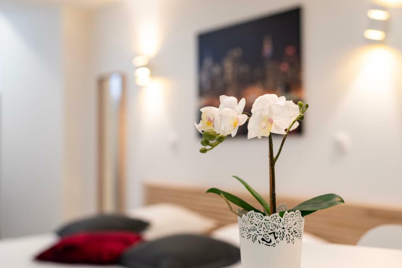 Citycosy Strasbourg - Studio Hirtz Orangerie المظهر الخارجي الصورة
