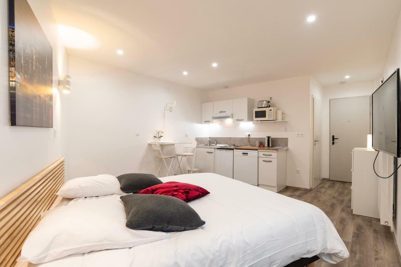 Citycosy Strasbourg - Studio Hirtz Orangerie المظهر الخارجي الصورة