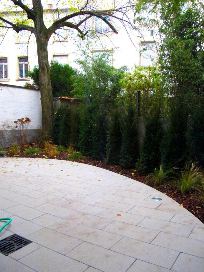 Citycosy Strasbourg - Studio Hirtz Orangerie المظهر الخارجي الصورة